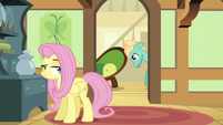 Zephyr Breeze moving Fluttershy's couch S6E11