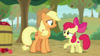 Apple Bloom -you and me set traps together- S9E10