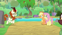 Autumn Blaze returns calmed down S8E23