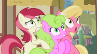 Flower ponies frightened S2E06