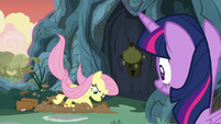 Fluttershy starts digging a hole S7E20