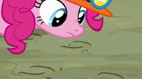 Pinkie Pie discovers Maud's hoofprints S7E4