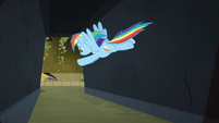 Rainbow Dash flying after Daring S4E04