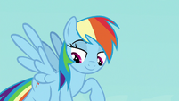 Rainbow Dash looks down at Young Six S8E2