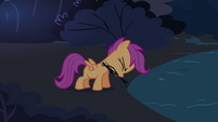 Scootaloo takes the branches S3E06