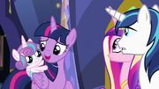 Twilight Sparkle "I shouldn't have agreed" S7E3