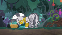 Zecora picks mushrooms in the forest S9E18