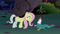 Cockatrice backing up and getting afraid of Fluttershy S1E17