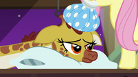Fluttershy puts ice pack on giraffe's bed S7E5