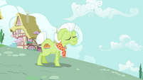 Granny Smith, out on a stroll.