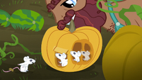 Hooffield stallion picks up pumpkin with mice inside S5E23