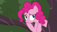 Pinkie thinking S5E11