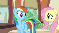 Rainbow Dash and Fluttershy on the train S03E12