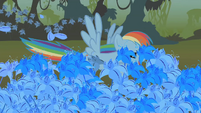 Rainbow Dash flying through the poison joke S1E09