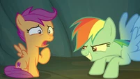 Rainbow Dash scaring Scootaloo S7E16.png (793 KB)