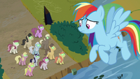 Rainbow looks down at Sombrafied unicorns S9E2