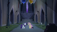 Rarity and Fluttershy in castle S4E03