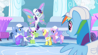 Admiring Rarity's glamorous wings.