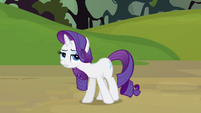 Rarity serious work S3E9