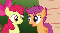 Scootaloo "doesn't mean it can't" S6E19