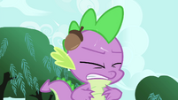 Spike gets hit with an acorn S4E23