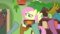 Students cheer for Fluttershy again MLPS3
