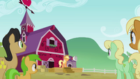 The Apples gathering to hear Applejack S3E08