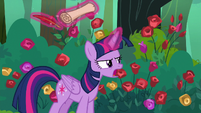 Twilight Sparkle reproaching Pinkie Pie S8E13