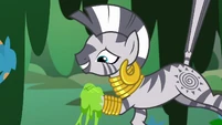 Zecora with crisscross moss on her hoof S7E20.png (841 KB) "There we go. Now that wasn't so tough."
