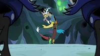 Discord "it's definitely the easiest to bug!" S6E26