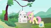 Fluttershy, you're lost, S4E23