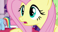 Fluttershy "what happened to them all?" S7E25