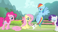 Fluttershy 'Oh! Angel's right' S4E14