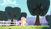 Fluttershy getting seeds spit at her S4E7
