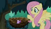 Fluttershy waves goodbye to the bird S8E13