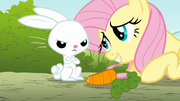 S01E07 Fluttershy prosi Angela