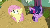 Twilight and Fluttershy pop out of hay S5E23