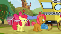 Apple Bloom "I can't wait" S3E8