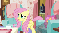 Fluttershy "then I guess it's up to me" S7E12