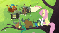 Fluttershy sees yaks smashing stuff S5E11