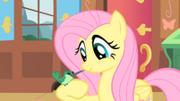 Fluttershy with Hummingway on arm S1E22