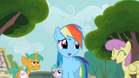 Rainbow Dash with this crowd S2E8