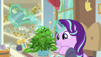 Starlight watering her office plant S9E20