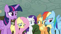 Twilight and friends disappointed S4E18