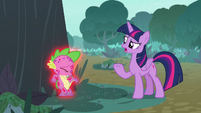 Twilight curious about what Spike is doing S8E11