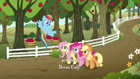 AJ, Rainbow, Fluttershy, and Pinkie on the farm S6E18