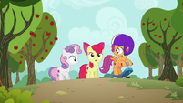 Apple Bloom spots a griffon S6E19