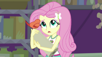 Constance chirps in Fluttershy's ear EG4