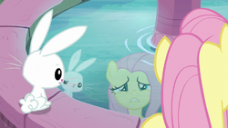 Fluttershy and Angel looking at their reflections S9E18