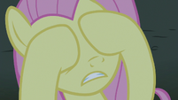 Fluttershy covering her eyes S8E21